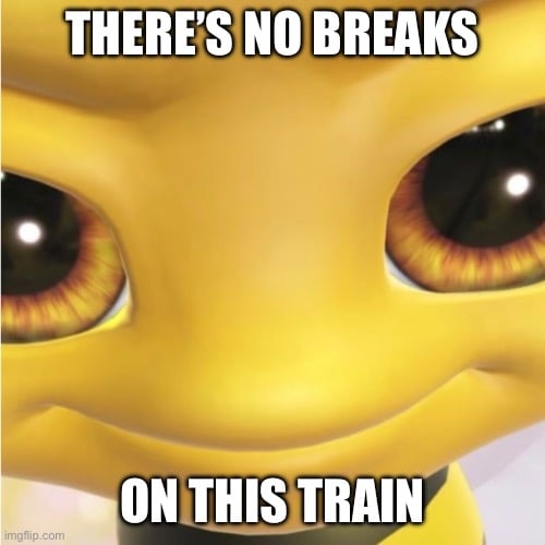 NO BRAKES